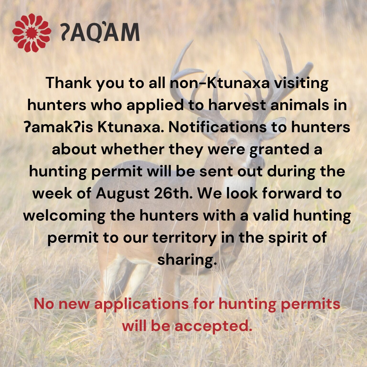 hunting permits