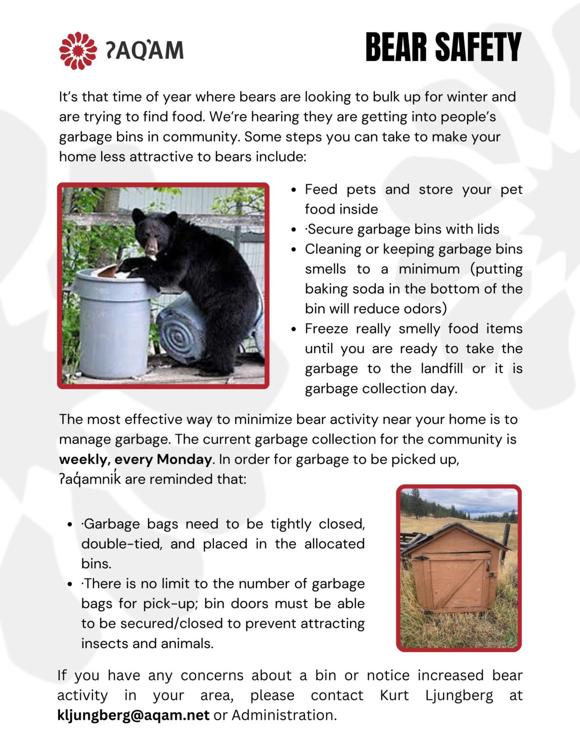 bear safety