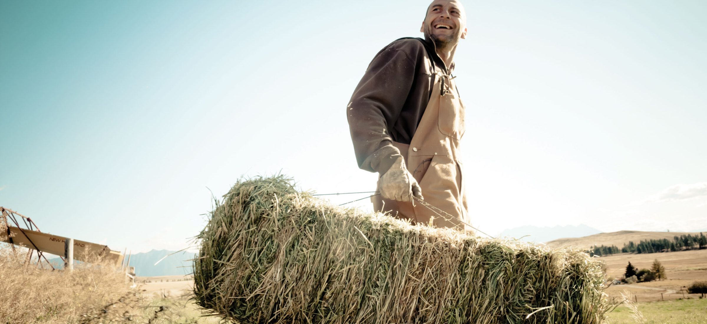 A man carries a bale of hay through a field